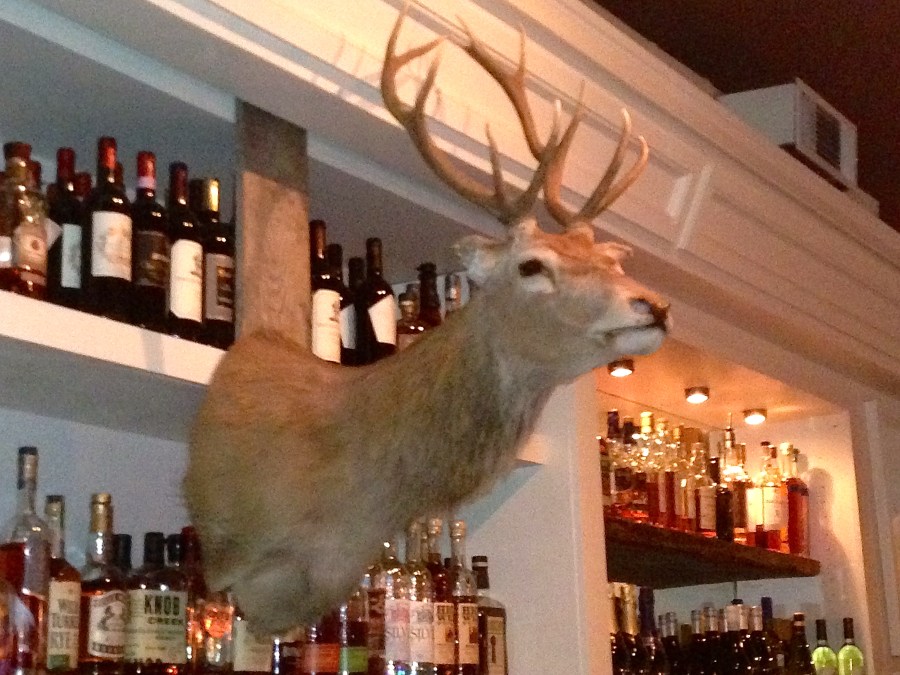 Poor guy. He seems to be missing some of his right ear.