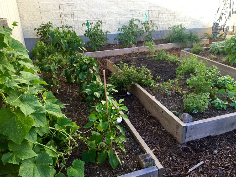 Out the back door of the shop